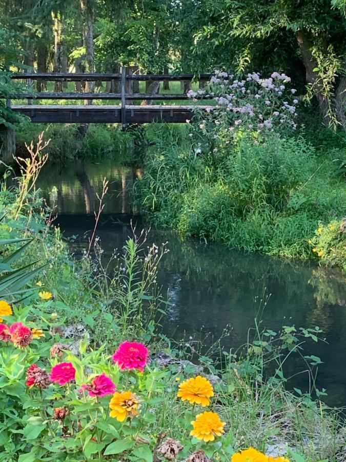 Moulin De Champrond -Montmirail -Sarthe Bed & Breakfast エクステリア 写真