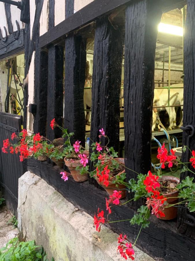 Moulin De Champrond -Montmirail -Sarthe Bed & Breakfast エクステリア 写真
