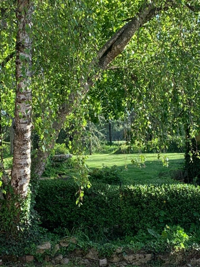 Moulin De Champrond -Montmirail -Sarthe Bed & Breakfast エクステリア 写真