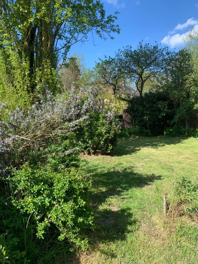 Moulin De Champrond -Montmirail -Sarthe Bed & Breakfast エクステリア 写真