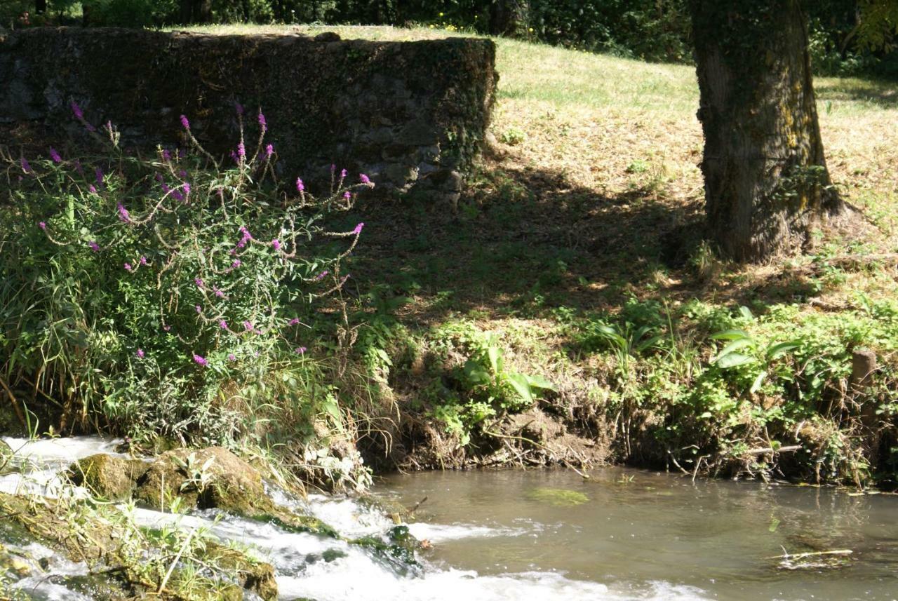 Moulin De Champrond -Montmirail -Sarthe Bed & Breakfast エクステリア 写真